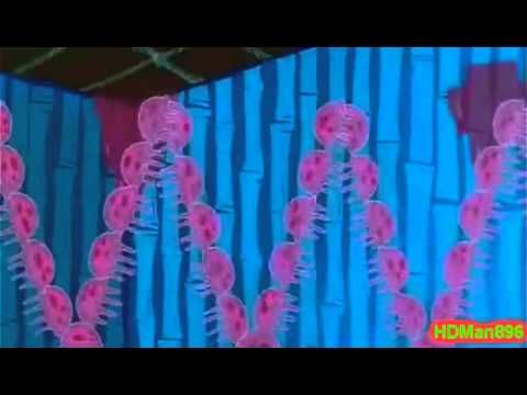 mermelada de medusa