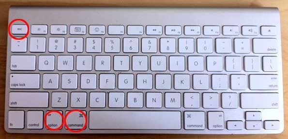 Picture of an Apple keyboard with the CMD + OPT + ESC keys circled.