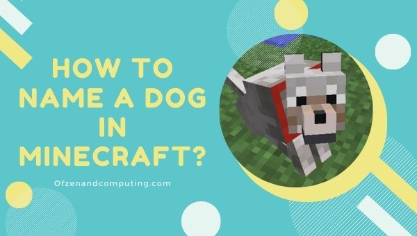 Como renomear um cachorro no Minecraft