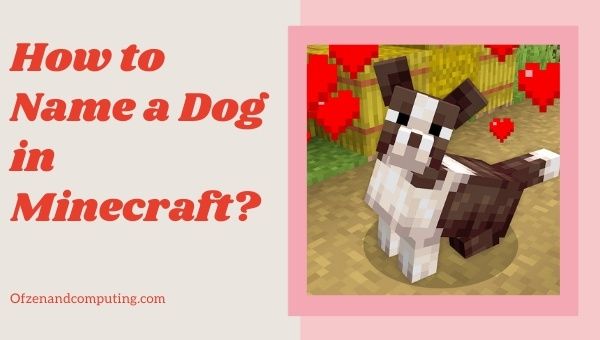 ¿Cómo nombrar un perro en Minecraft? [cy] con imágenes