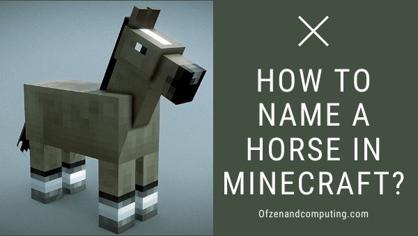Comment nommer un cheval dans Minecraft