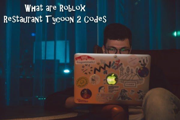 Cosa sono i codici Roblox Restaurant Tycoon 2?