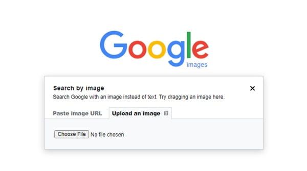 Cerca con Google Immagini
