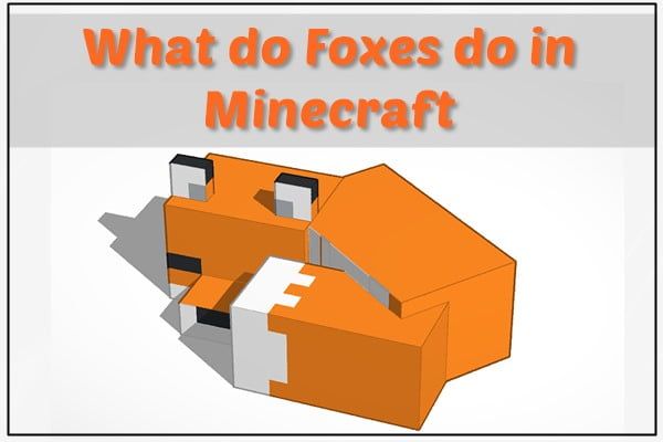 O que as raposas fazem no Minecraft?