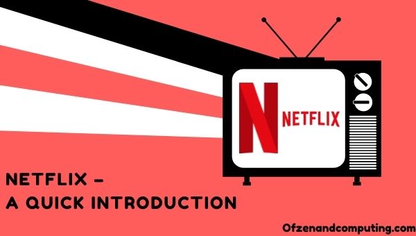 Netflix - Uma introdução rápida 