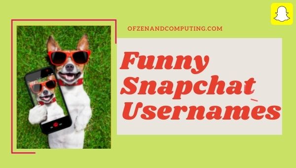 Idéias engraçadas de nomes de usuário do Snapchat (2023)