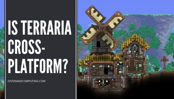 Czy Terraria będzie wieloplatformowa w 2023 roku?