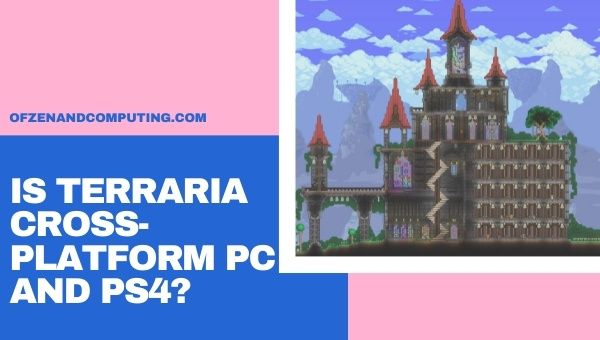 Czy Terraria jest wieloplatformowa na PC i PS4/PS5?