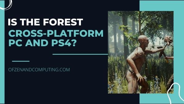 La forêt multiplateforme PC et PS4 / PS5?