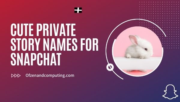 Nomes fofos de histórias particulares para Snapchat (2023)