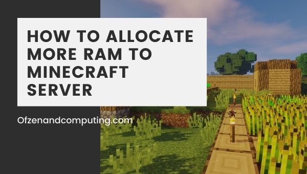 Meer RAM toewijzen aan Minecraft Server (2021)