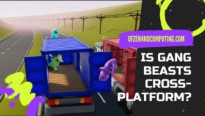 Gang Beasts est-il multiplateforme dans [cy] ? [PC, PS4, Xbox One]