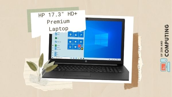 2020 HP 17.3_ HD+ Laptop Premium