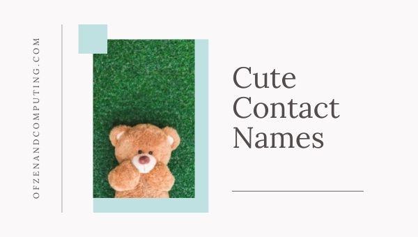 Cute Contact Names (2023)