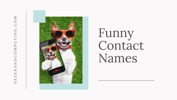 Funny Contact Names (2023)