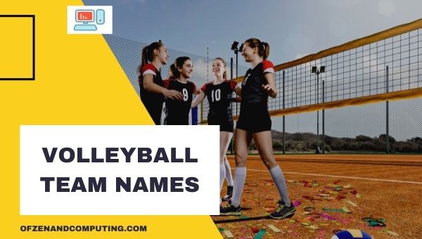 Volleyball Team Names Ideas (2023)