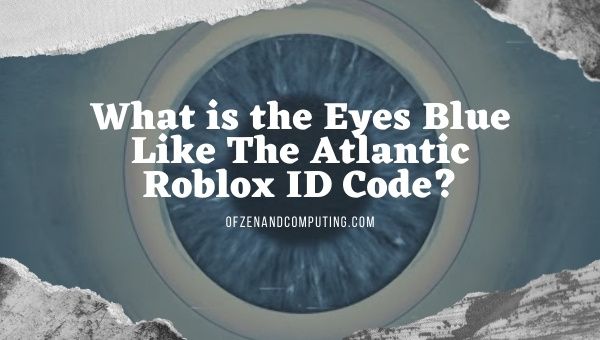 O que é o código de identificação Eyes Blue Like The Atlantic Roblox?
