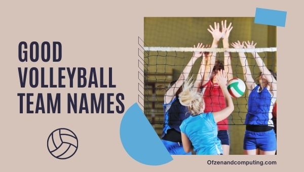 Bonnes idées de noms d’équipes de volleyball (2024)
