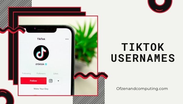 Ideias de nomes de usuário do TikTok (2022)