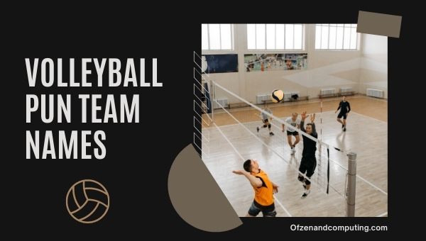 Ideen für Volleyball-Wortspiel-Teamnamen (2024)