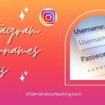 Buenas ideas de nombres de usuario de Instagram (2023) Nombres geniales y lindos