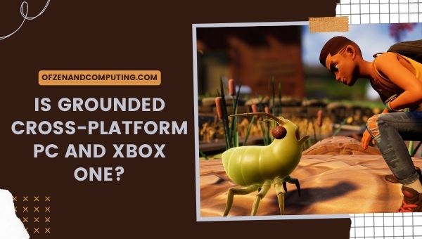 Is Grounded platformonafhankelijke pc en Xbox One?