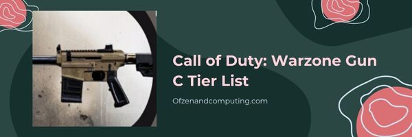 Call of Duty Warzone Silah C Seviye Listesi (2024)