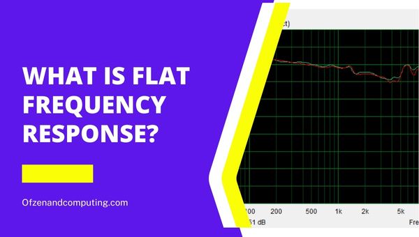 ¿Qué es la respuesta de frecuencia plana?