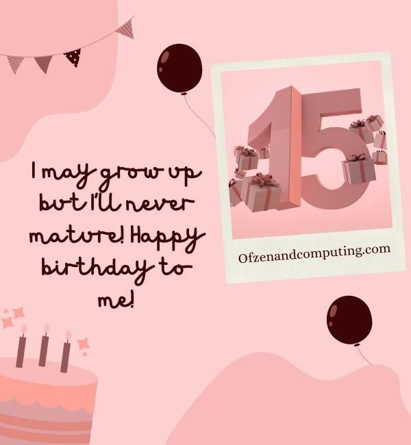 Instagram İçin Harika 15. Doğum Günü Altyazıları (2022)