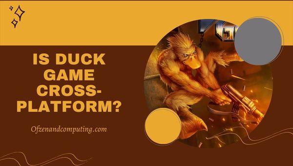 Adakah Duck Game Cross-Platform dalam [cy]? [PC, PS4/5, Suis]