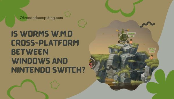 Worms WMD est-il multiplateforme entre Windows et Nintendo Switch ?