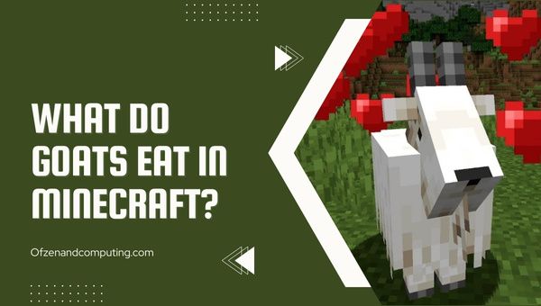 Mitä vuohet syövät Minecraftissa?