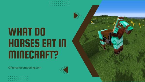 Apa yang Kuda Makan Di Minecraft?