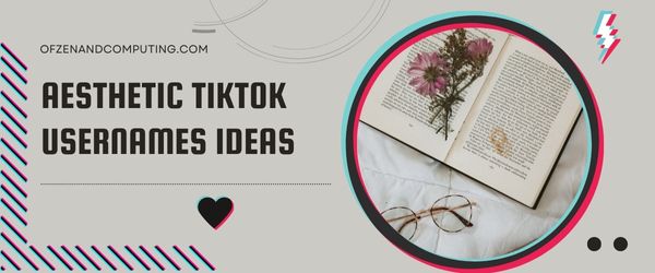 Idéias de nomes de usuário estéticos do TikTok (2023)