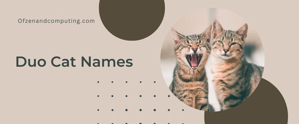 Nomes de gatos duplos (2023)