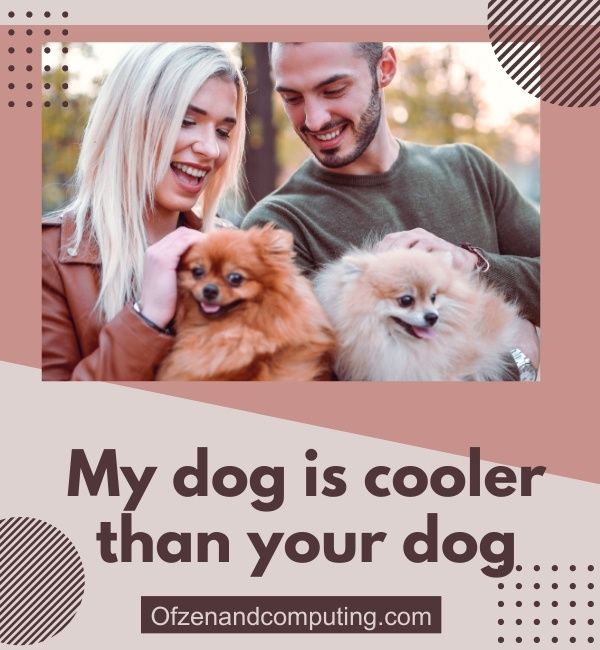 Instagram İçin Sevimli Köpek Altyazıları (2024)
