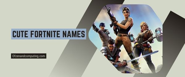 Nomes fofos do Fortnite 2023 (nomes de usuário)