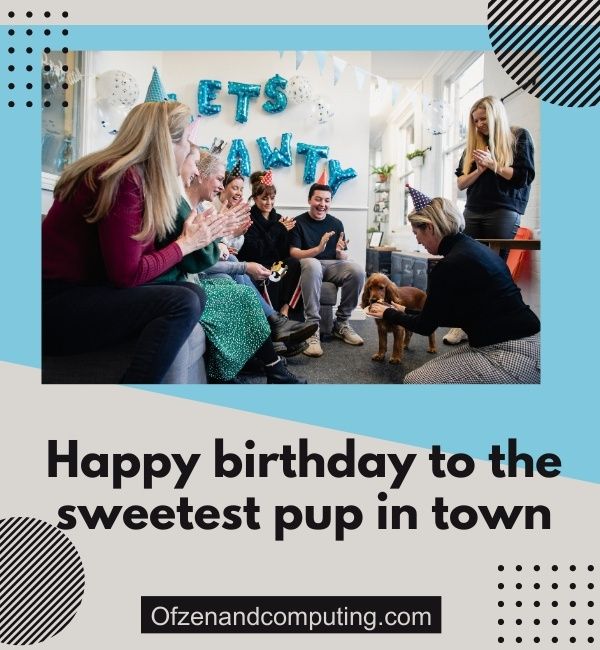 Napisy urodzinowe dla psów na Instagramie (2024)