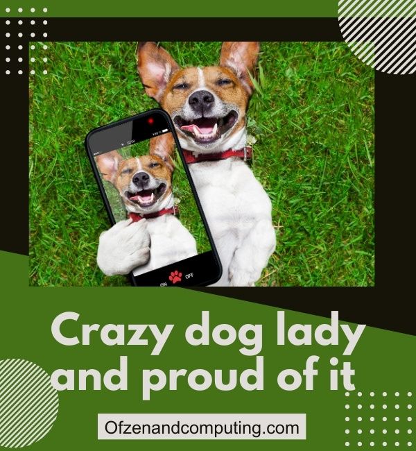 Best Dog Captions For Instagram (2023)