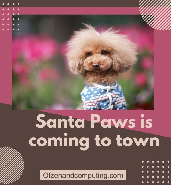 คำบรรยาย Instagram ของสุนัขสำหรับคริสต์มาส (2024)