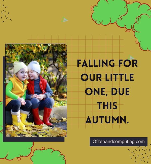 Subtítulos de anuncios de bebés de otoño para Instagram (2024)