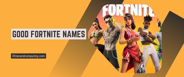 Bons nomes Fortnite 2023 (nomes de usuário)