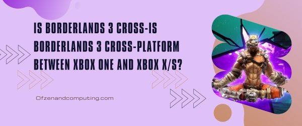 Is Borderlands 3 cross-platform tussen Xbox One en Xbox Series X/S?