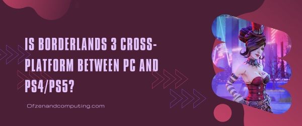 Is Borderlands 3 platformonafhankelijk tussen pc en PS4/PS5?