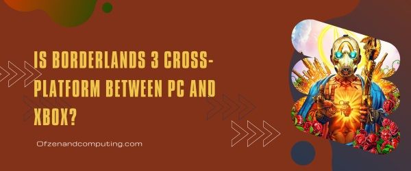 Is Borderlands 3 platformonafhankelijk tussen pc en Xbox?