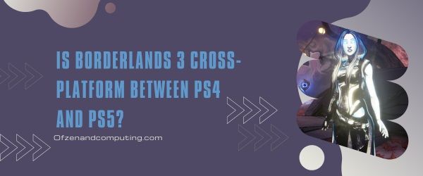 Is Borderlands 3 platformonafhankelijk tussen PS4 en PS5?