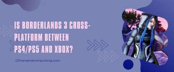 Is Borderlands 3 platformonafhankelijk tussen PS4/PS5 en Xbox?