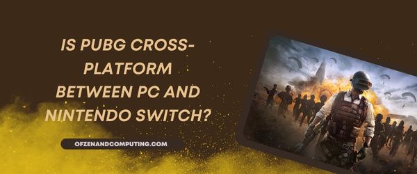 Ist PUBG plattformübergreifend zwischen PC und Nintendo Switch?