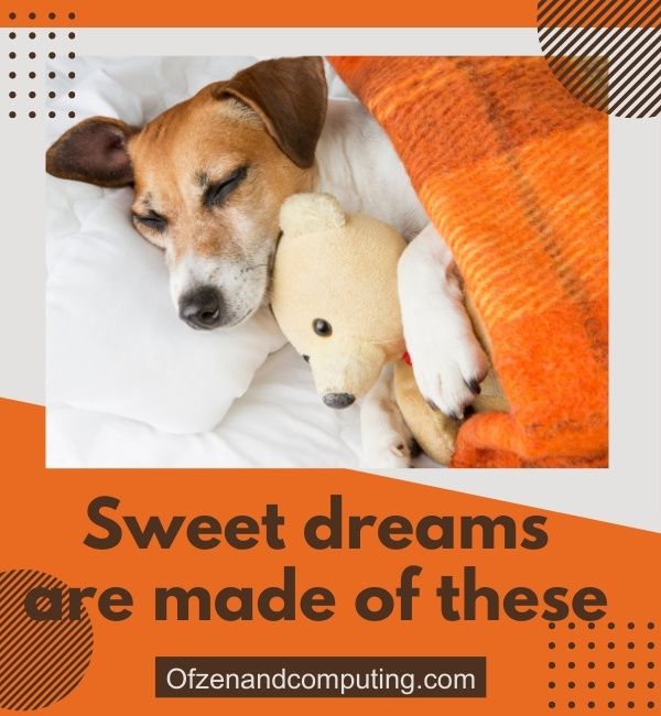 Untertitel für schlafende Hunde auf Instagram (2024)