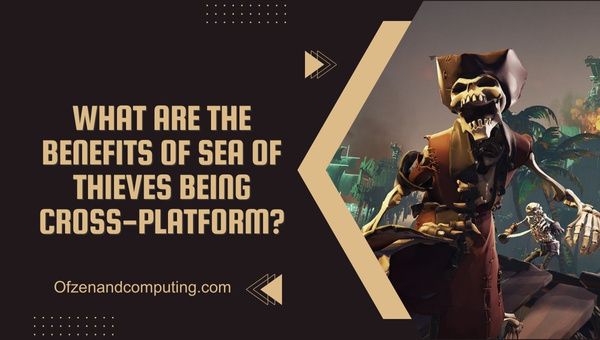 What Are The Benefits Of Sea of Thieves Being Cross-Platform?